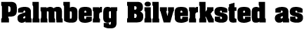 Palmberg Bilverksted as logo
